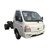 KAMA X11 Gasoline Light Truck