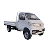 EW1 Electric Mini Truck