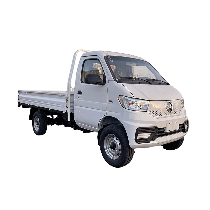 EW1 Electric Mini Truck
