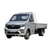 V Series Gasoline Mini Truck