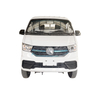 W Gasoline Series 1–1.5 Ton Mini Truck