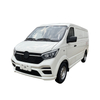 S6 Cargo Van