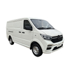 S6 Cargo Van