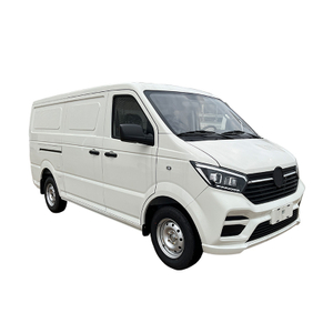 S6 Cargo Van